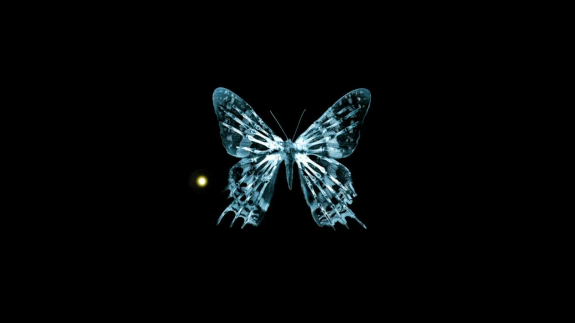 Mariposaoscura Encantadora Sobre Una Flor Floreciente. Fondo de pantalla