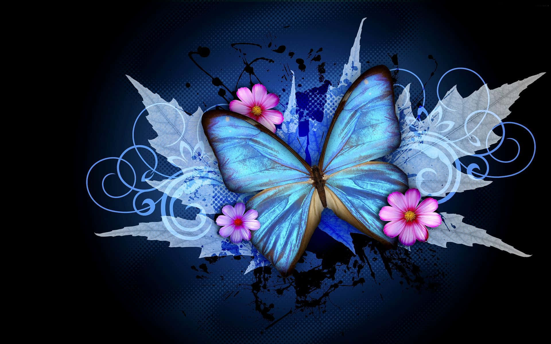 Captivating Dark Butterfly on an Enchanting Night Wallpaper