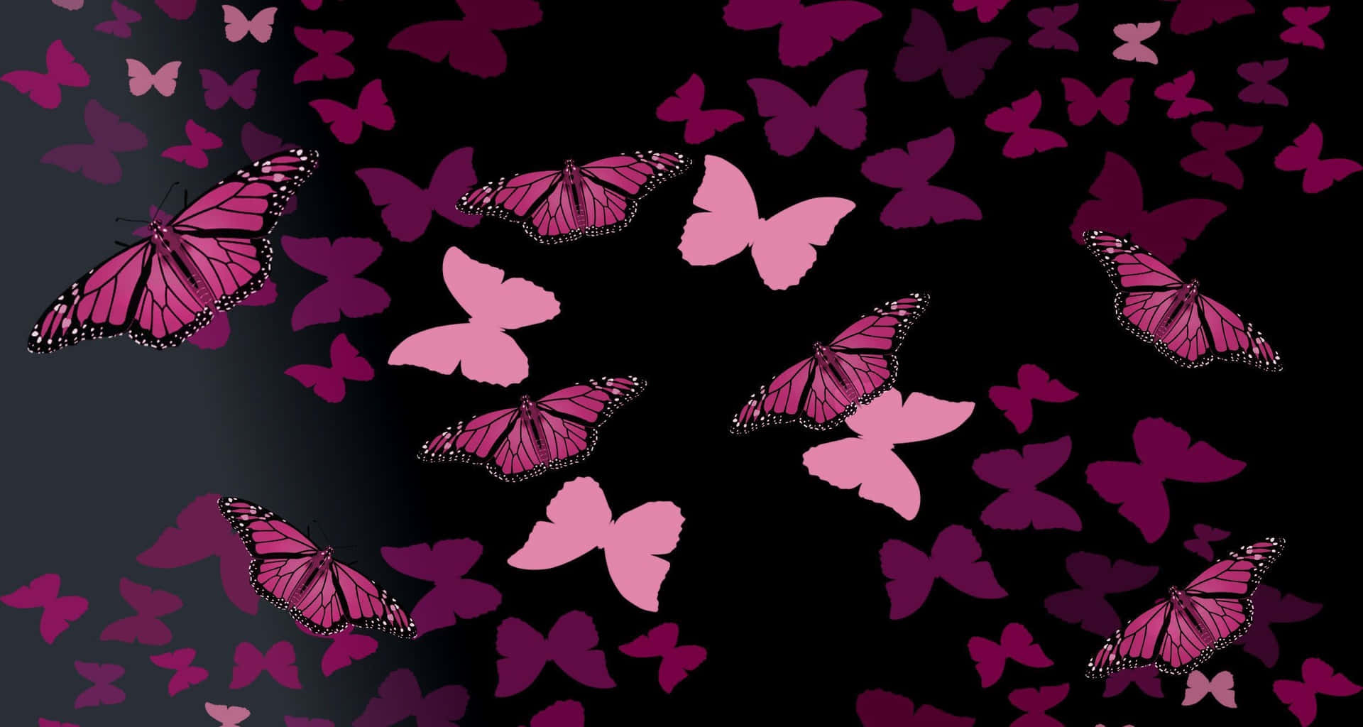 100+] Dark Butterfly Wallpapers