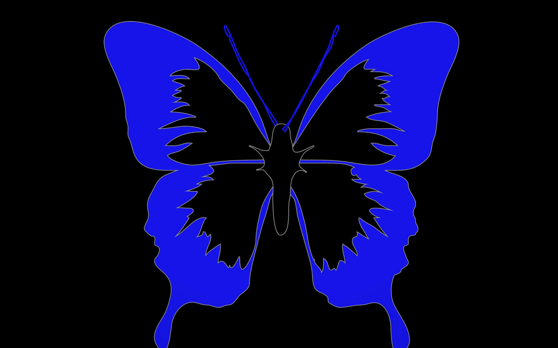 Misteriosamariposa Oscura Posada En Flores Moradas. Fondo de pantalla