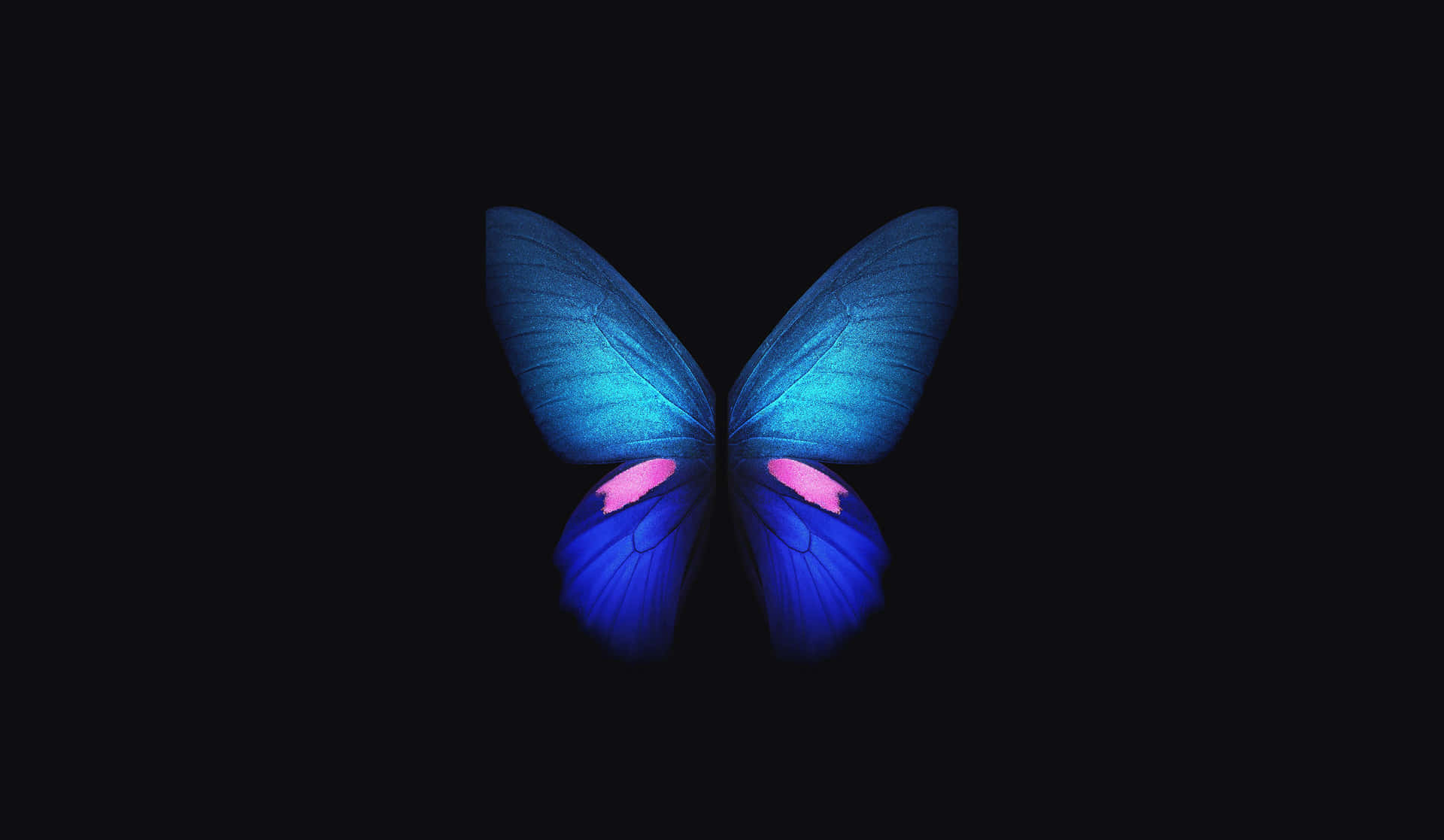 Mariposaoscura Y Hermosa Sobre Un Misterioso Fondo Floral. Fondo de pantalla
