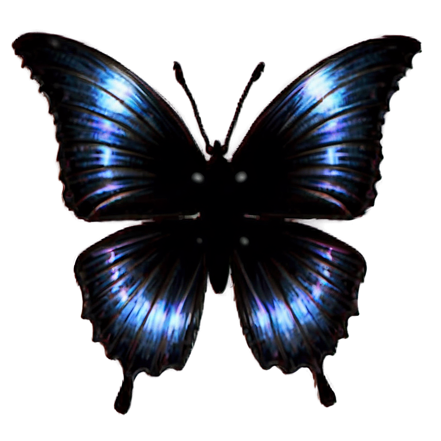 Dark Butterfly Silhouette Png Frx PNG