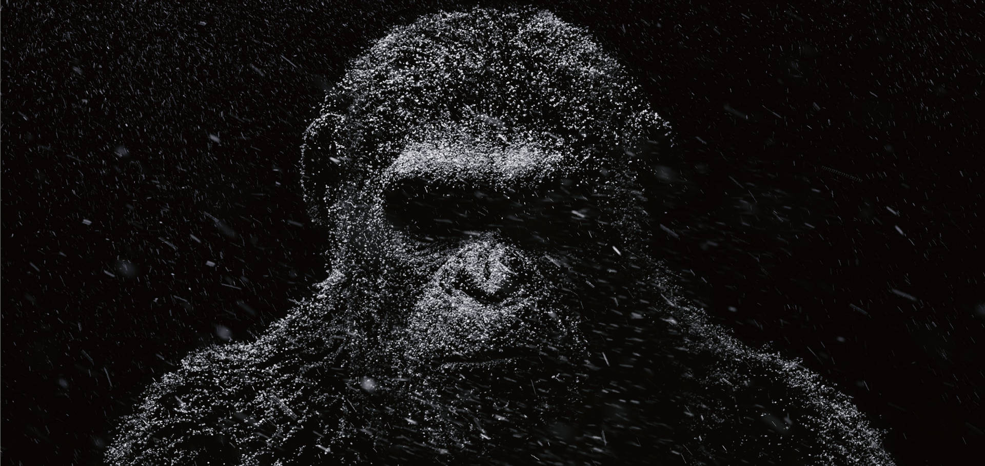 Dark Caesar Chimpanzee Wallpaper