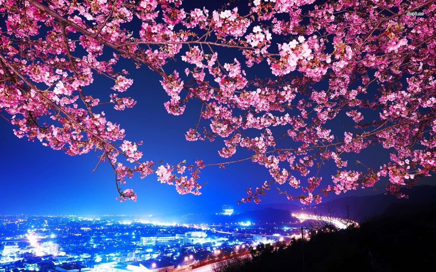 A Pink Blossom Tree With A City In The Background Wallpaper