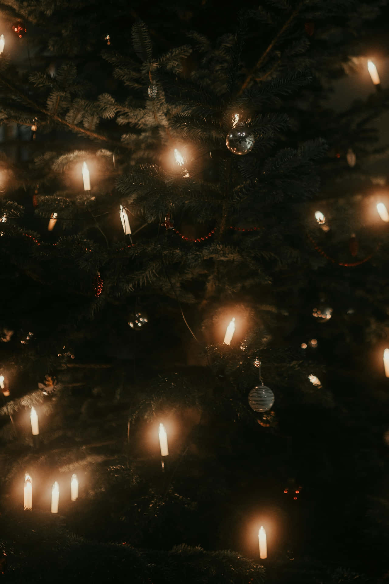 Dark Christmas Tree Candles Glow Wallpaper