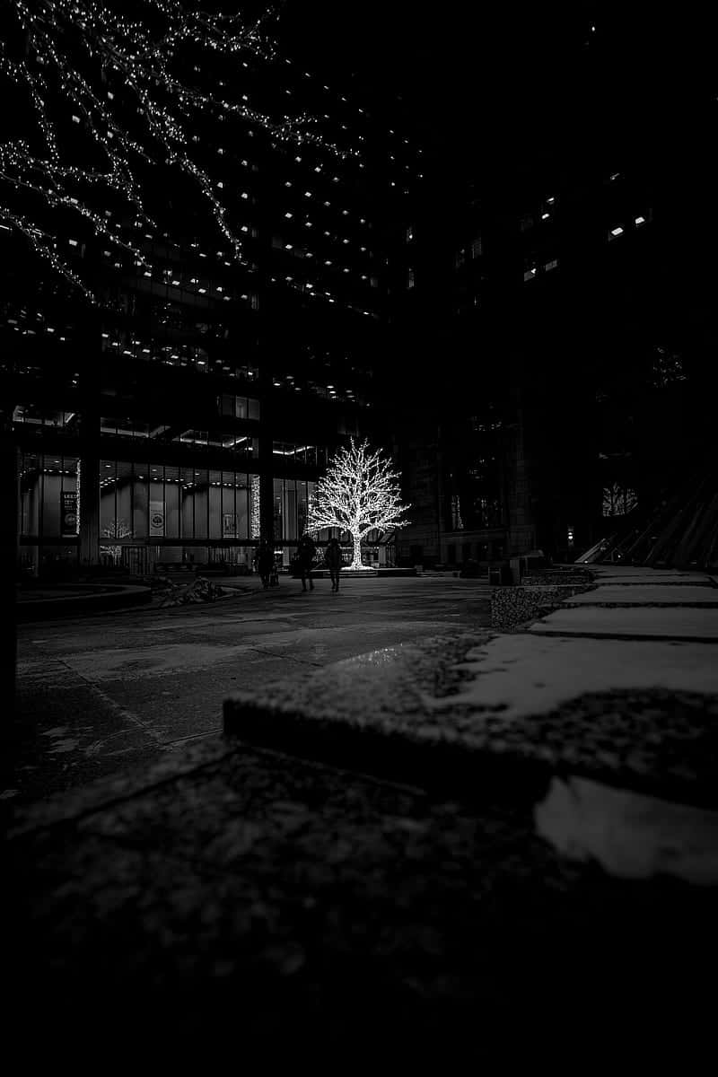 Dark_ Christmas_ Tree_ Urban_ Setting.jpg Wallpaper