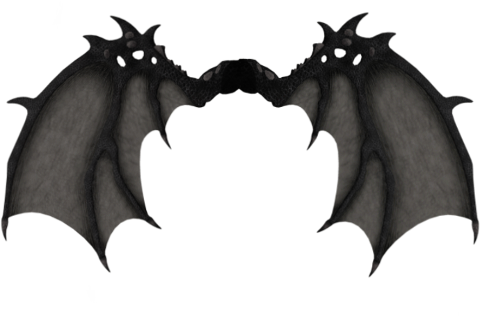 Dark Demon Wings PNG