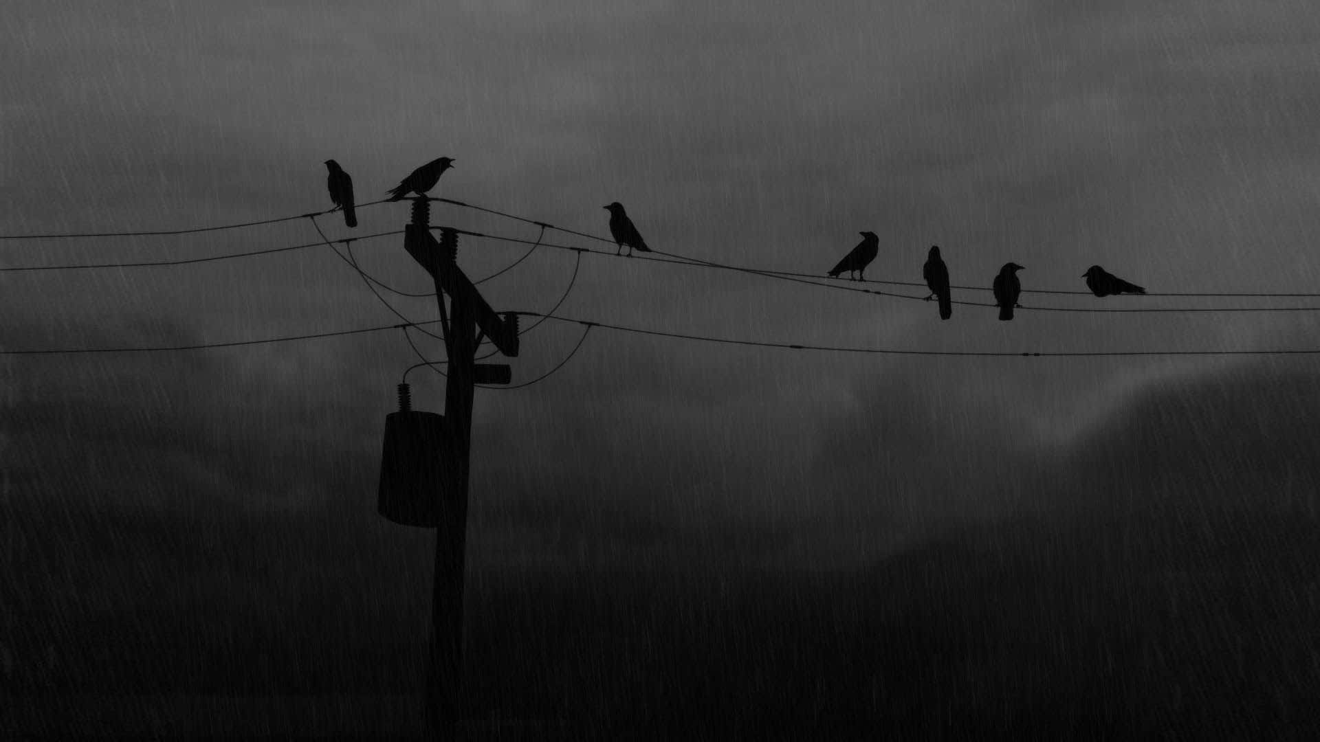 Mørk deprimerende fugle og skyer tapet Wallpaper