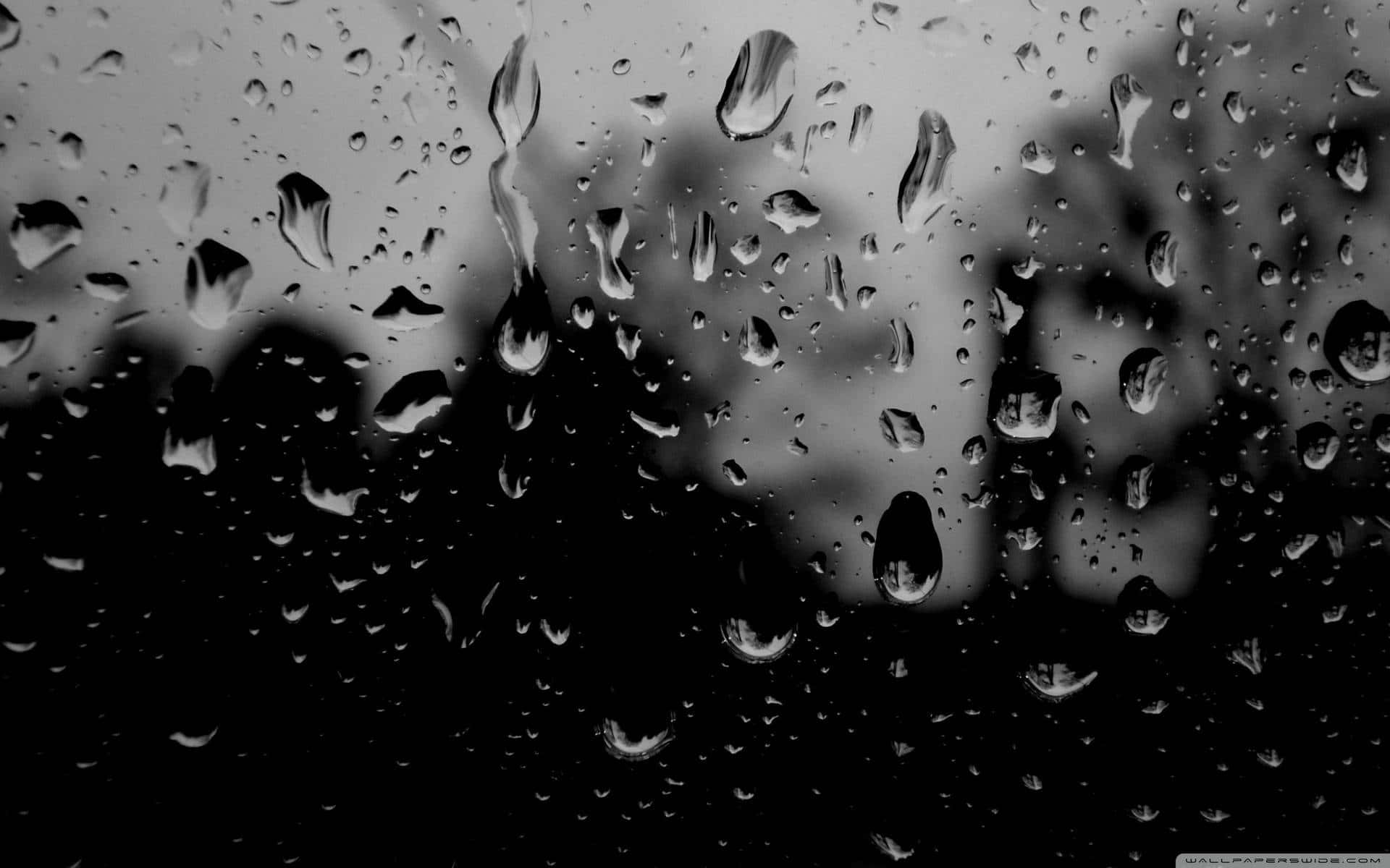 Regndråber på et vindu i sort og hvid Wallpaper
