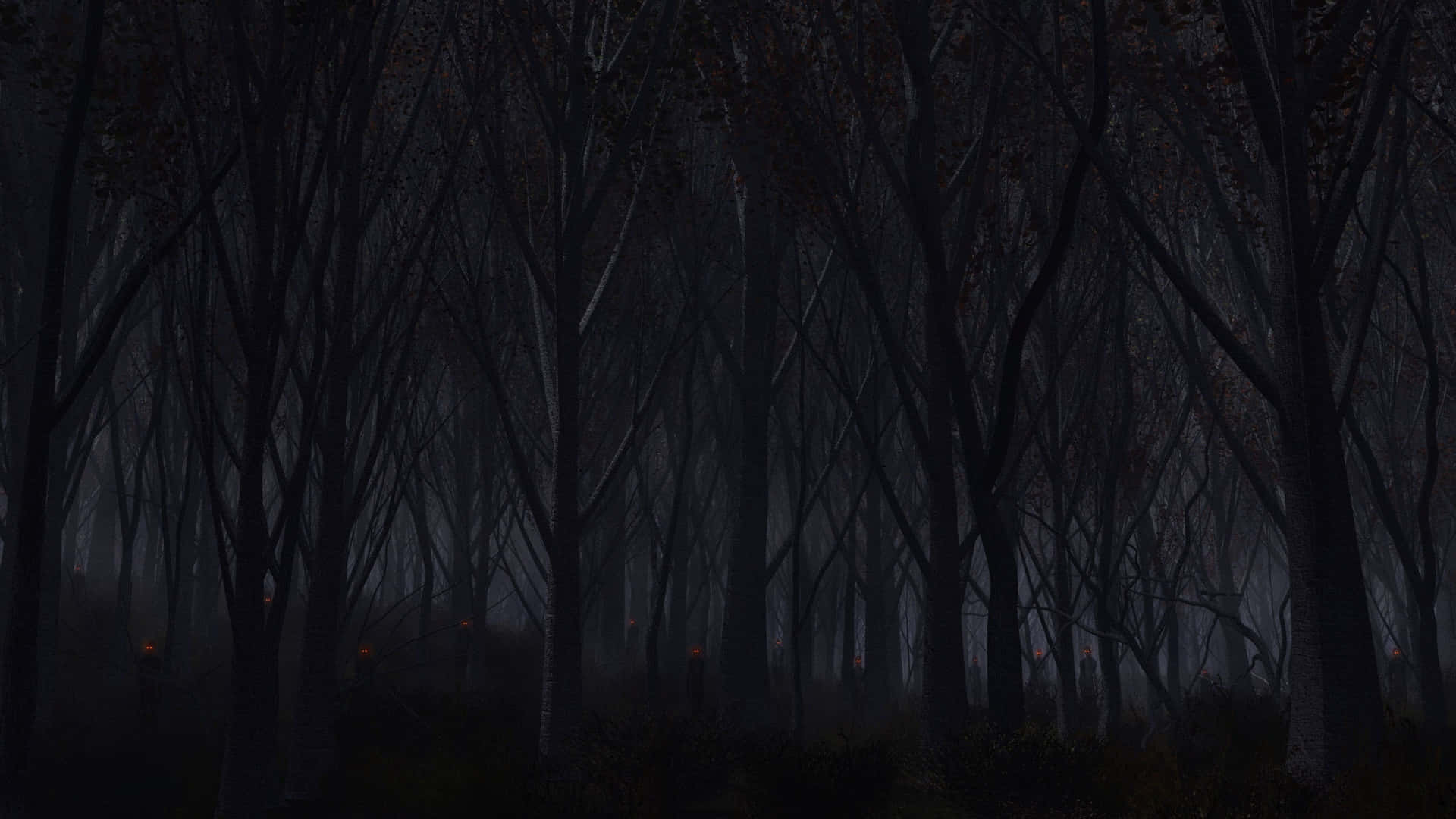 Eindunkler Wald Mit Bäumen Und Einer Lampe. Wallpaper