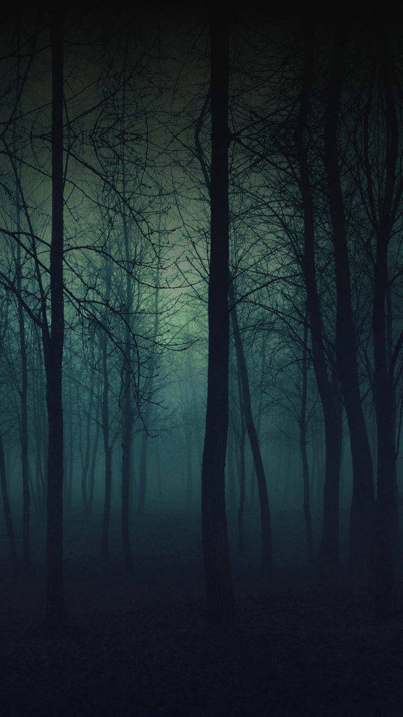 Dark Eerie Forest Iphone Wallpaper