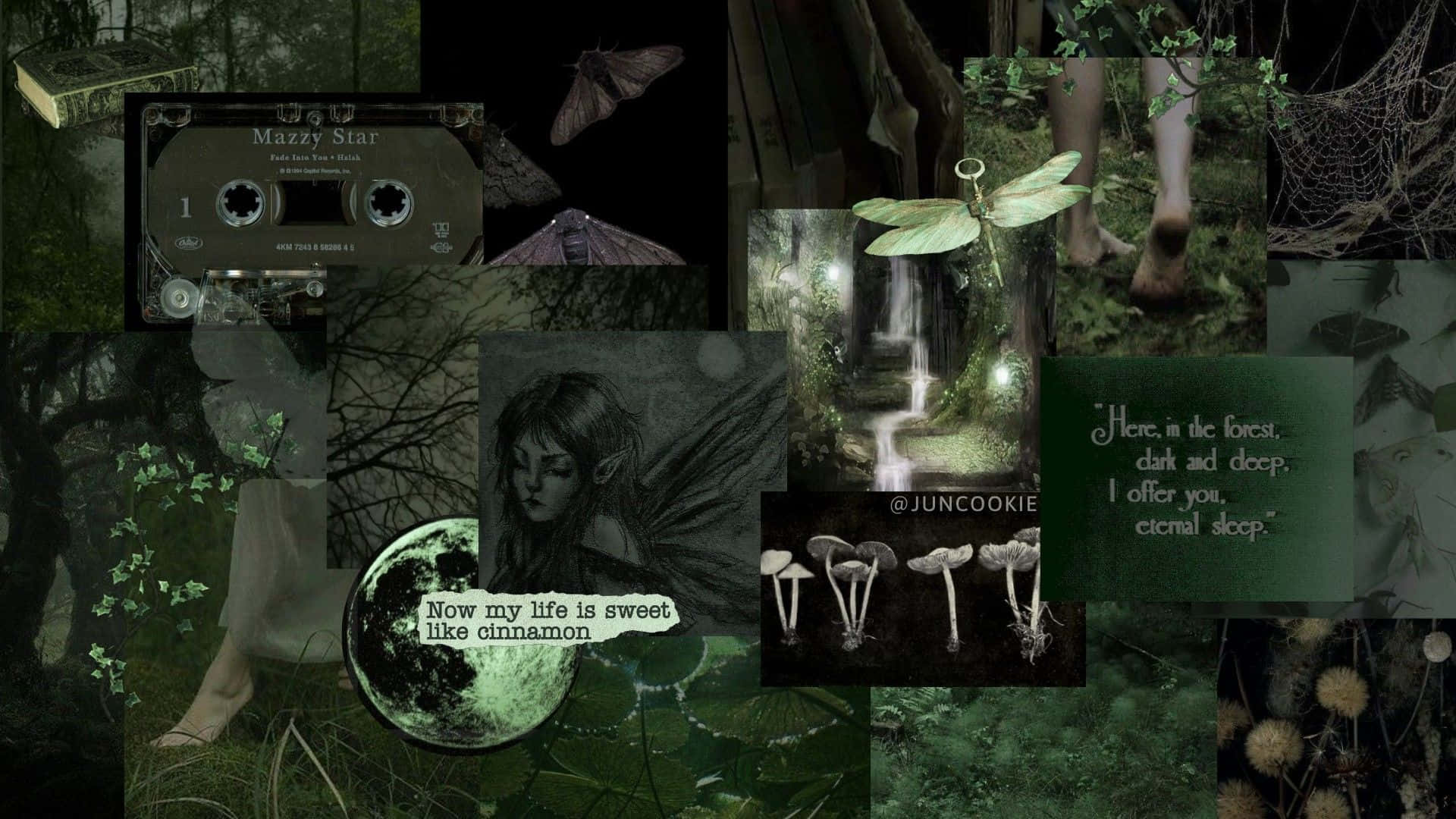 Dark Fairycore Collage Aesthetic.jpg Wallpaper