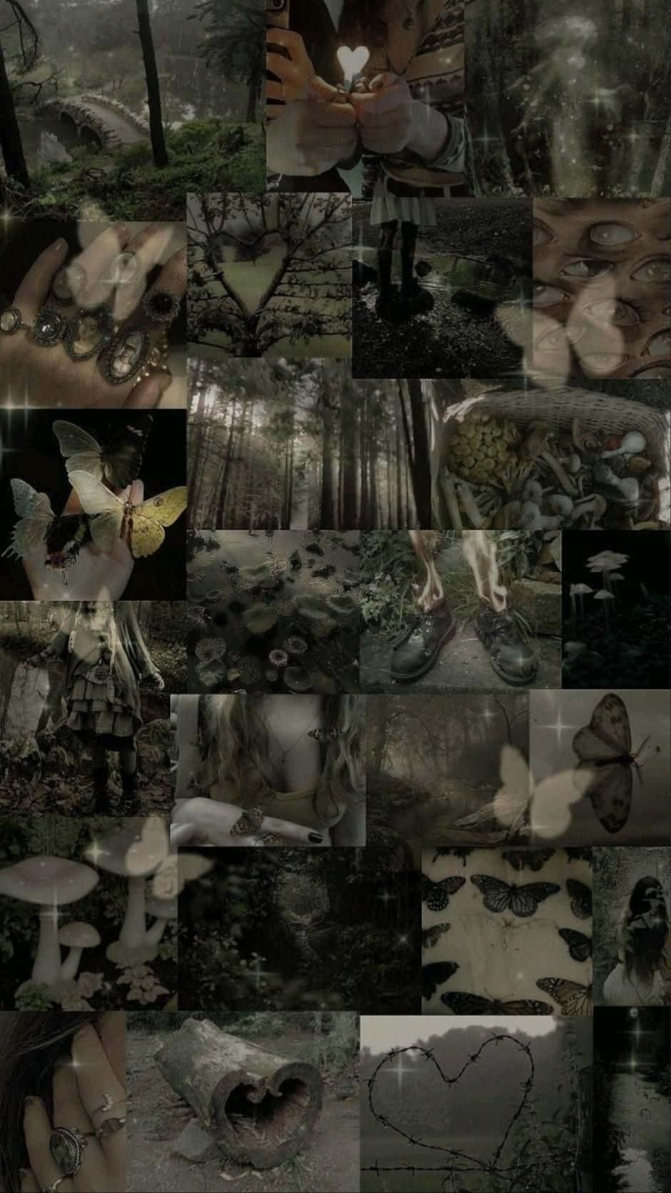Dark Fairycore Collage_ Mystical Forest Aesthetic Wallpaper