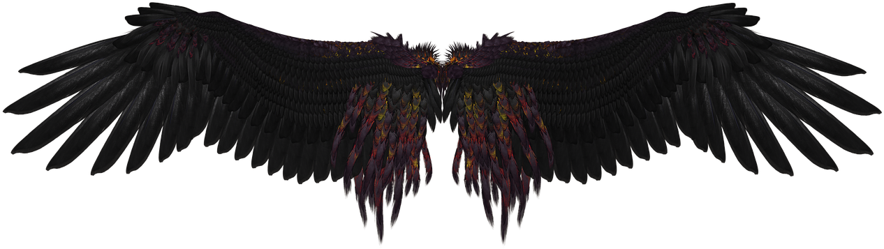 Dark Feathered Angel Wings PNG