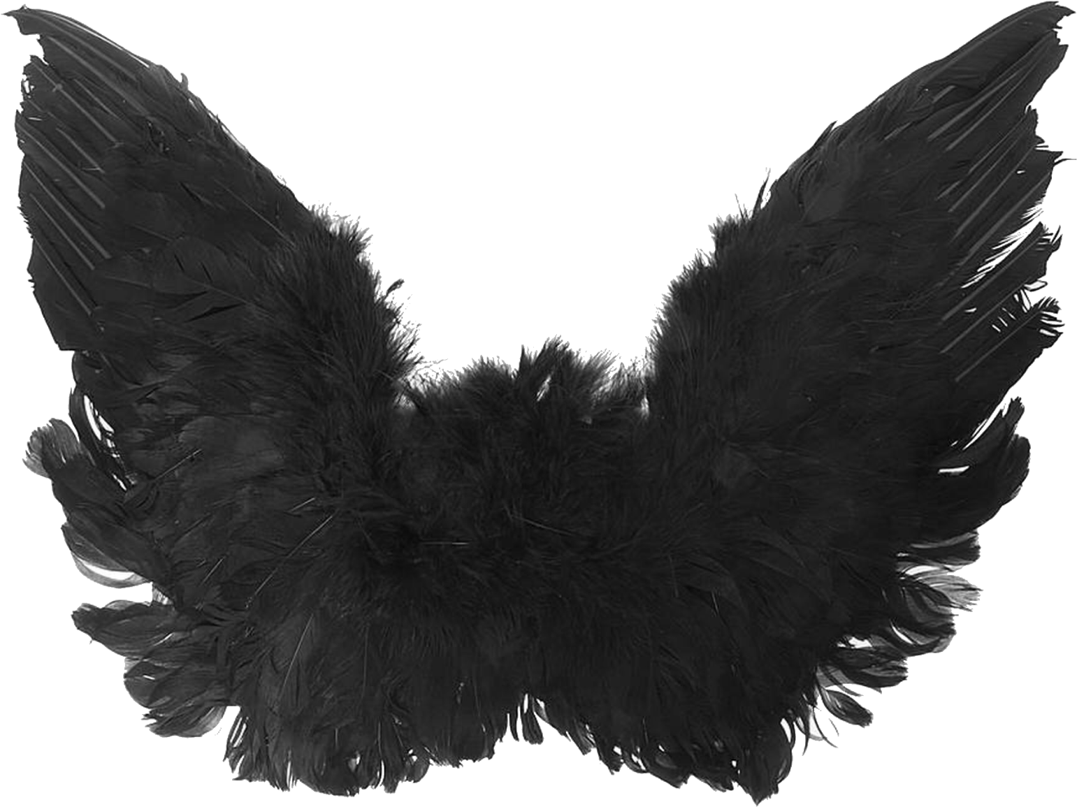 Dark Feathered Wings.png PNG