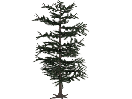 Dark Fir Tree Silhouette PNG