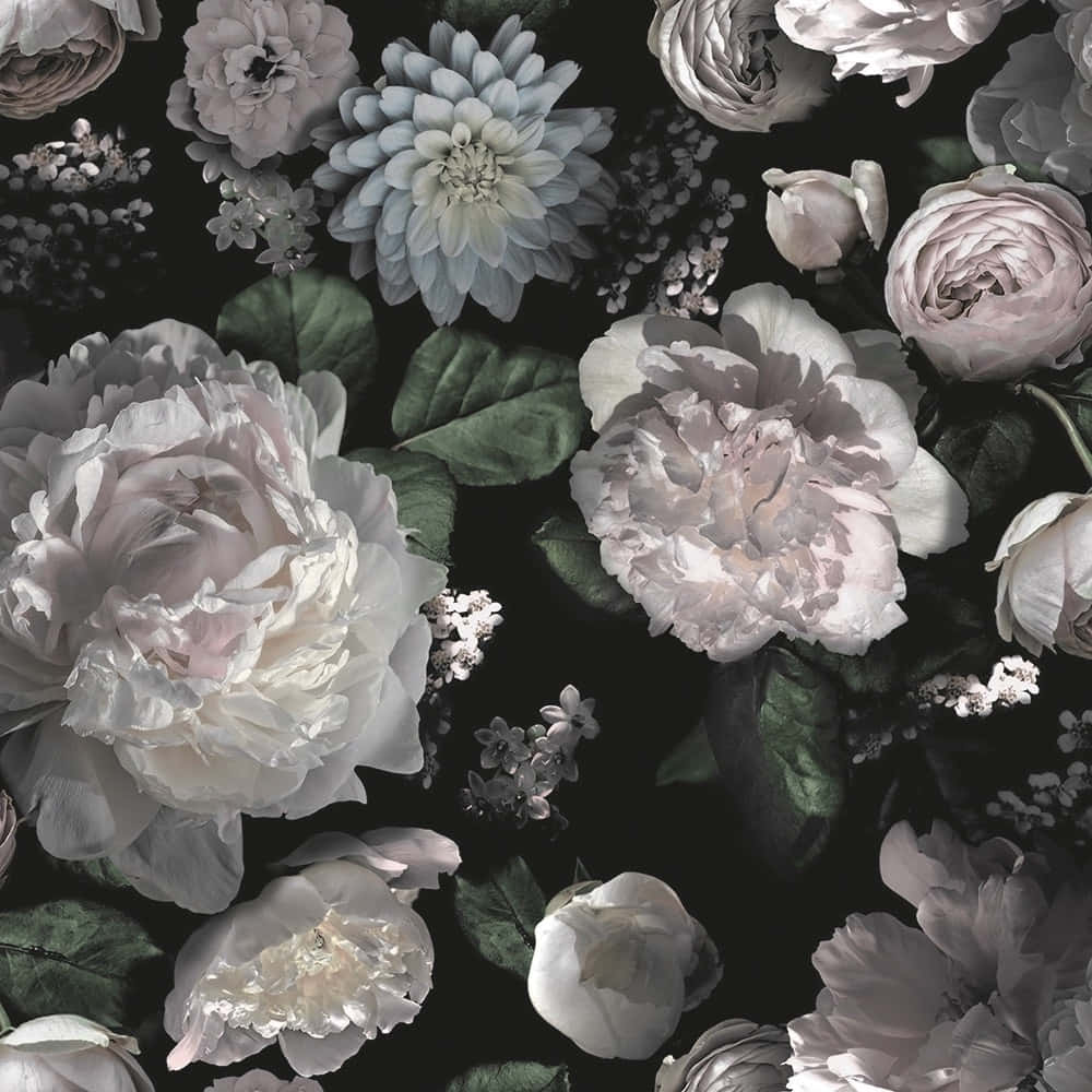Captivating Dark Floral Background
