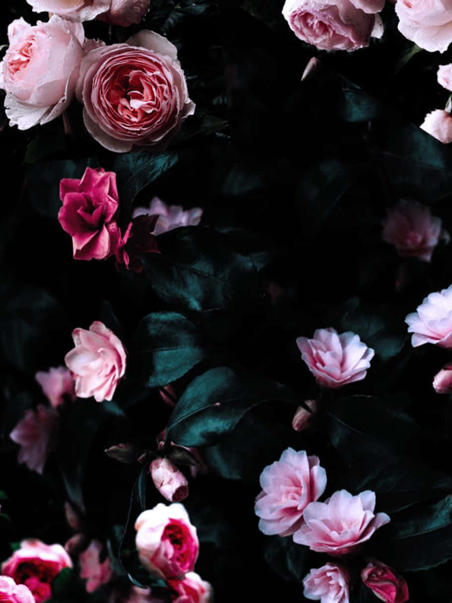 Dark Floral Elegance.jpg Wallpaper