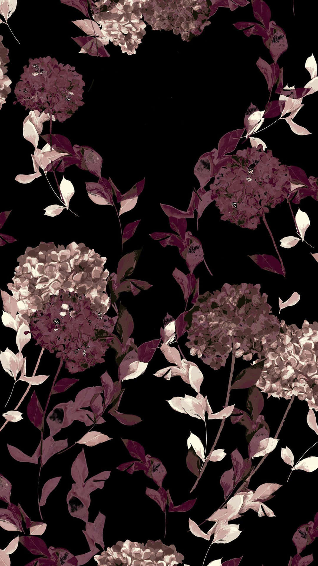 Fonds D'écran Iphone Motif Floral Sombre Fond d'écran