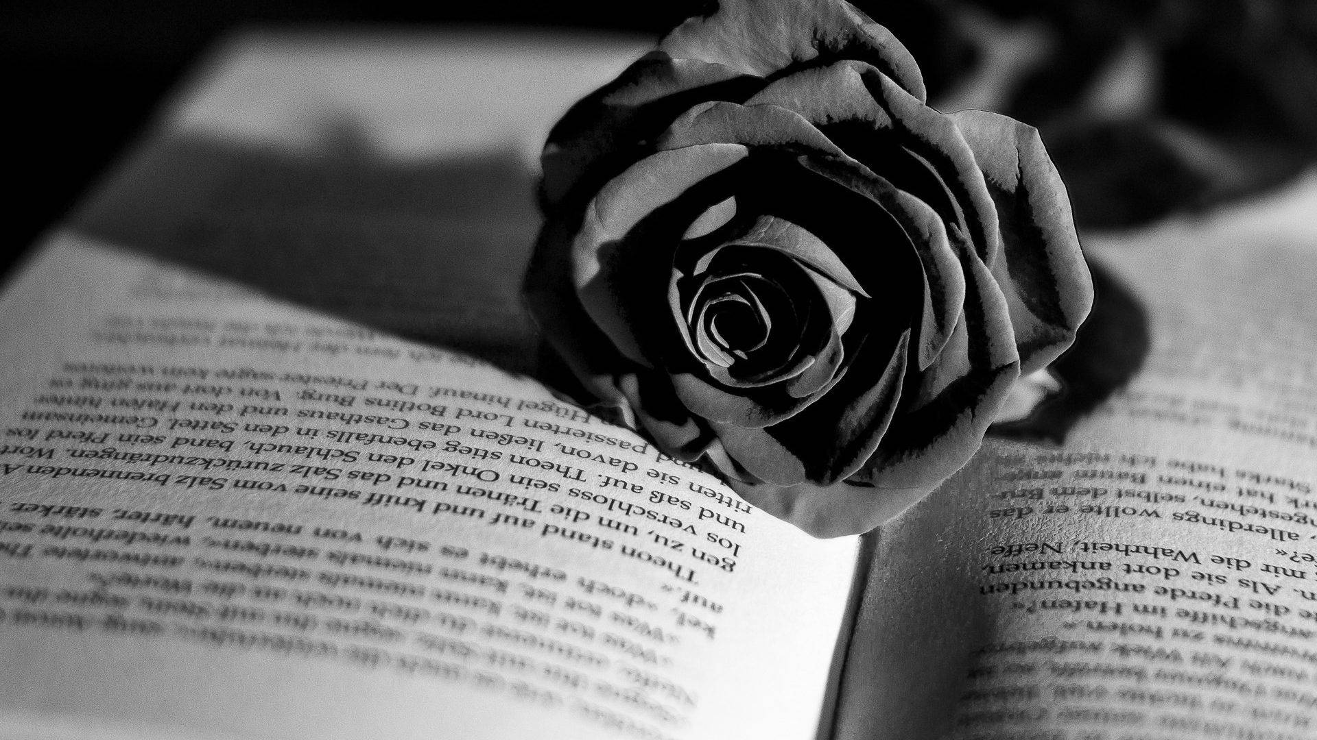 Dark Floral Rose On Book