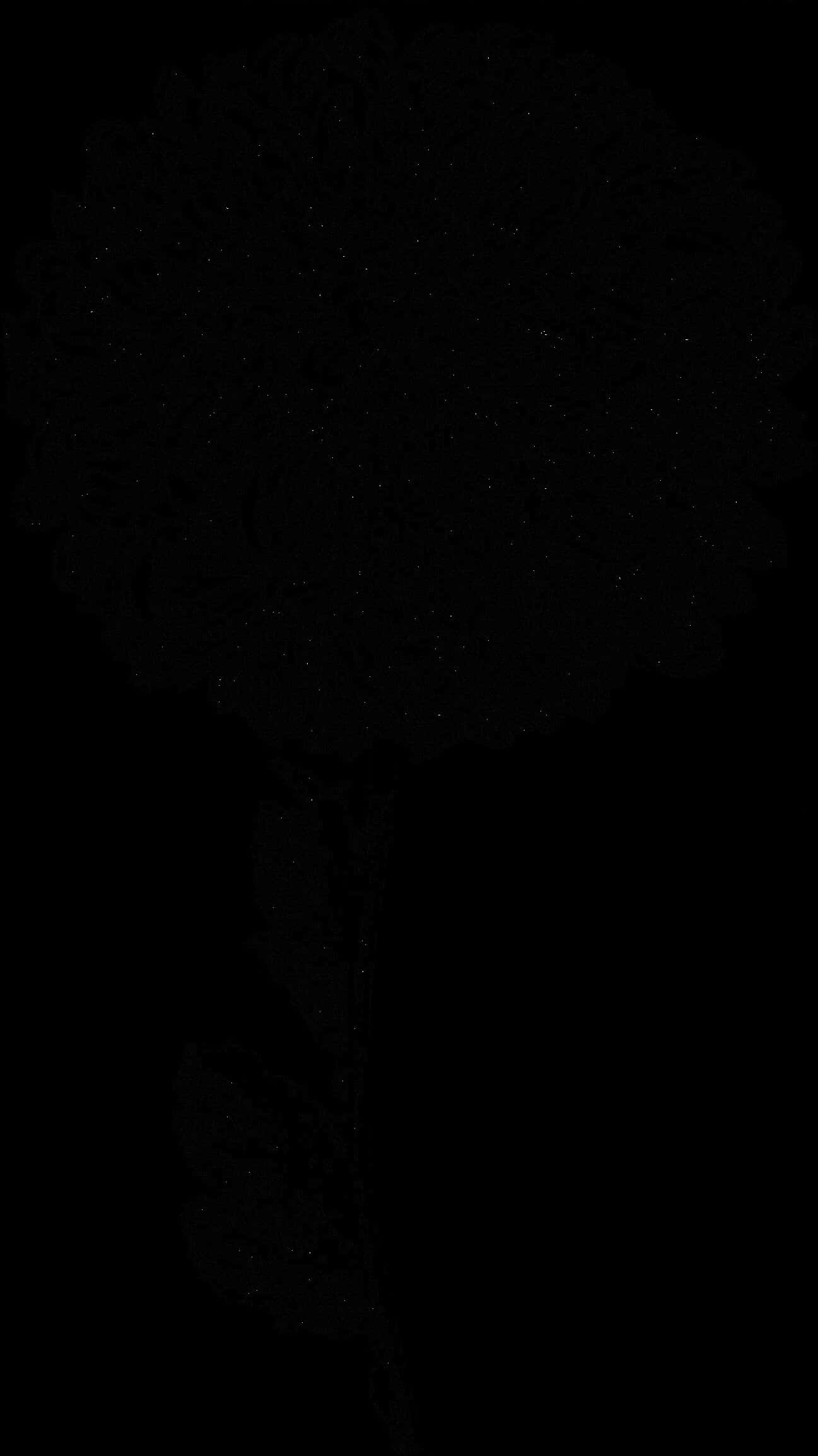 Dark Floral Silhouette PNG