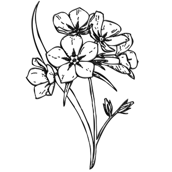 Download Dark Floral Sketch | Wallpapers.com