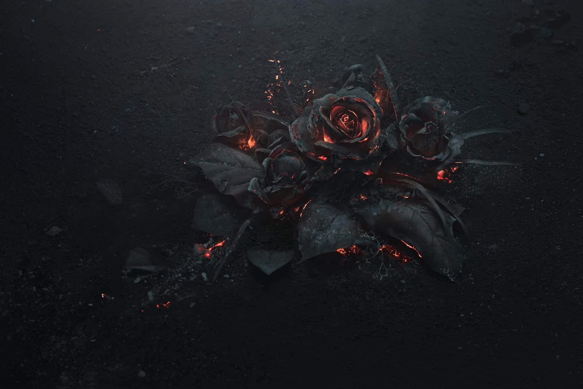 A Black Rose With Flames On It Wallpaper