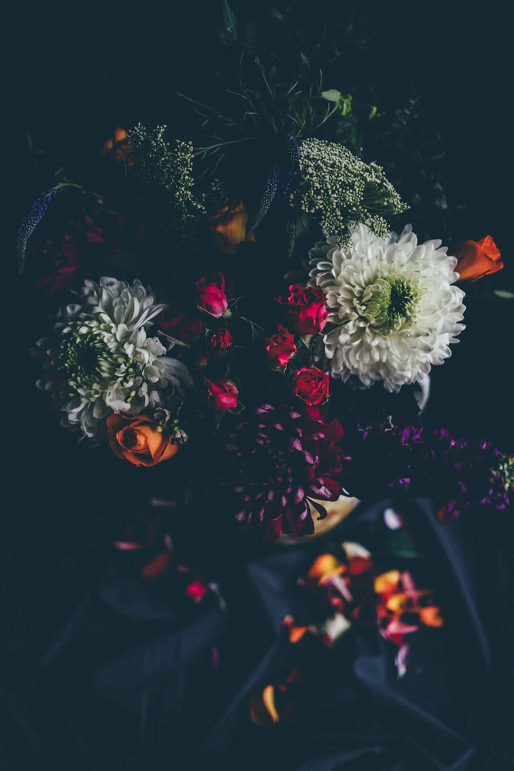 Unahermosa Flor Floreciendo En La Oscuridad. Fondo de pantalla