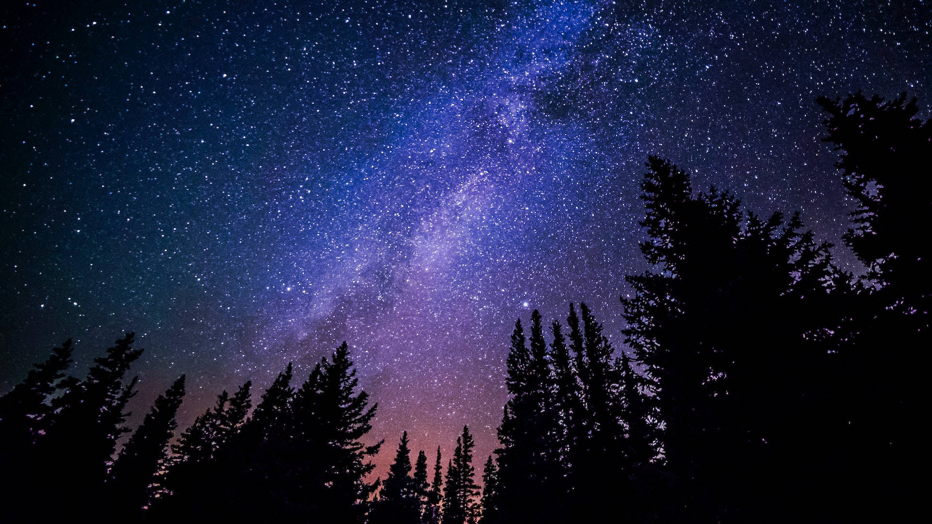 Dark Forest Andromeda Galaxy Wallpaper