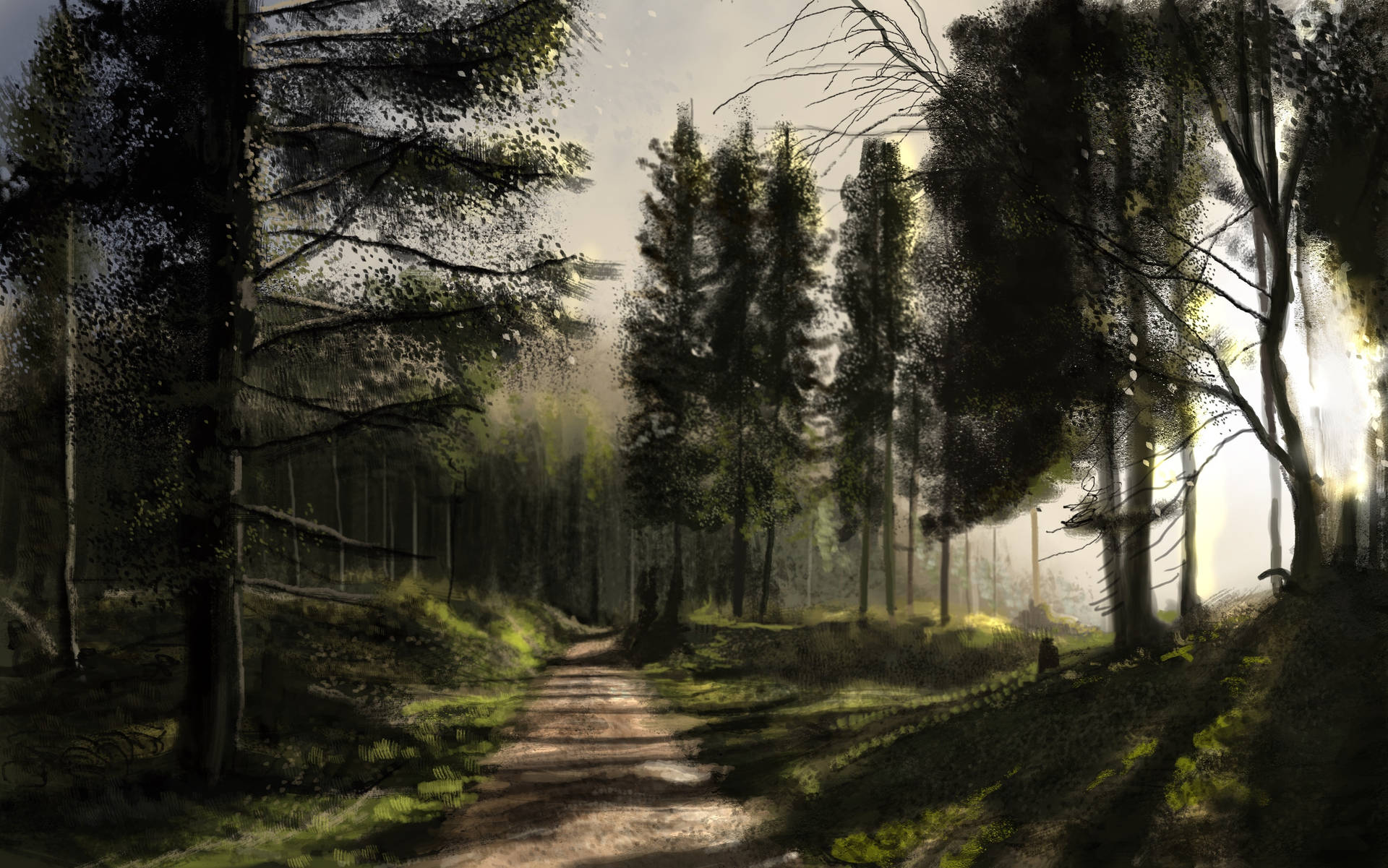 Dark Forest Art Drawing Background