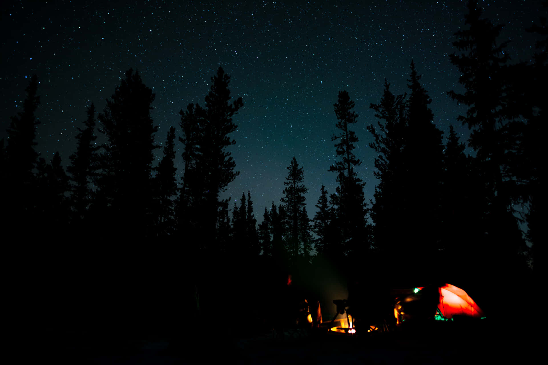 Dark Forest Camping Desktop Wallpaper