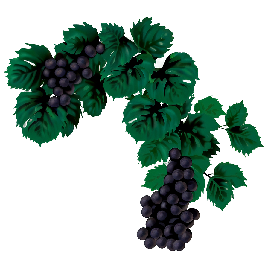 Dark Grape Buncheswith Leaves PNG
