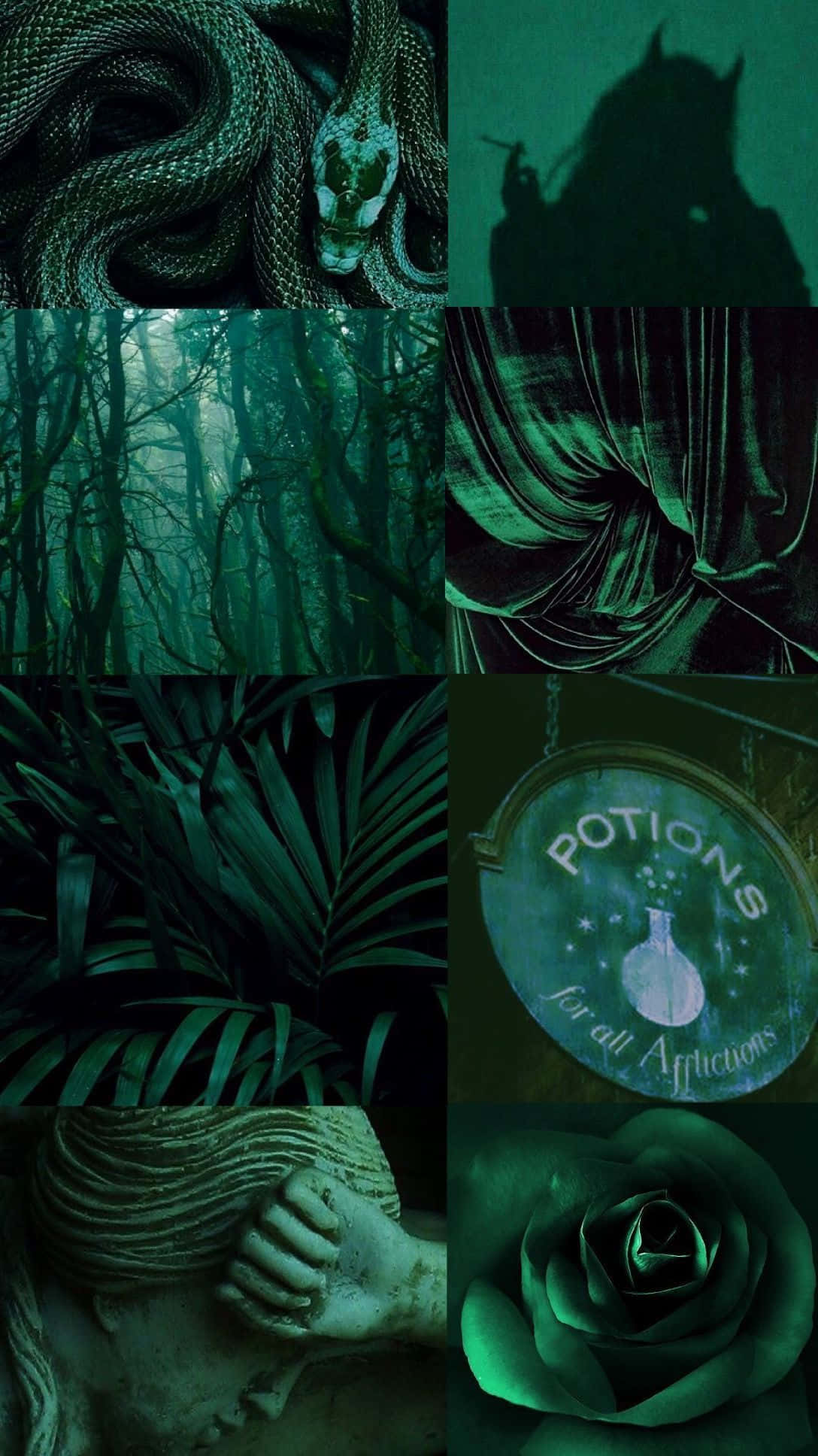 Mysterious Dark Green Forest