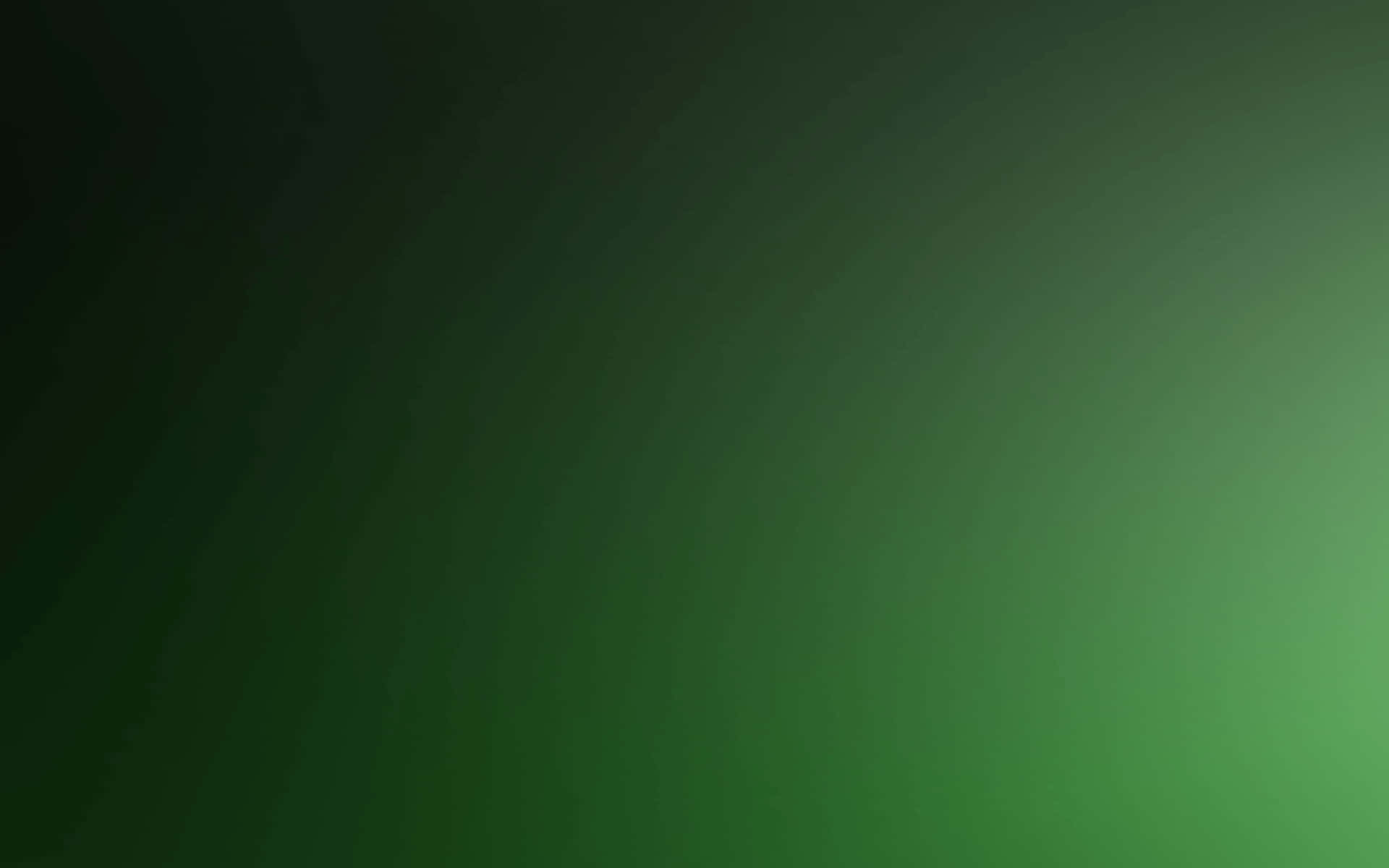 A Bold Dark Green Solid Color Background