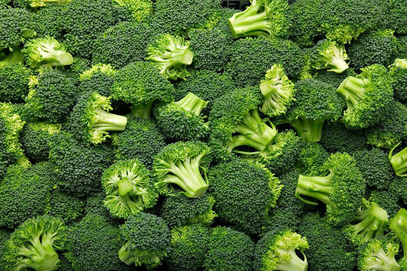 Dark Green Broccoli