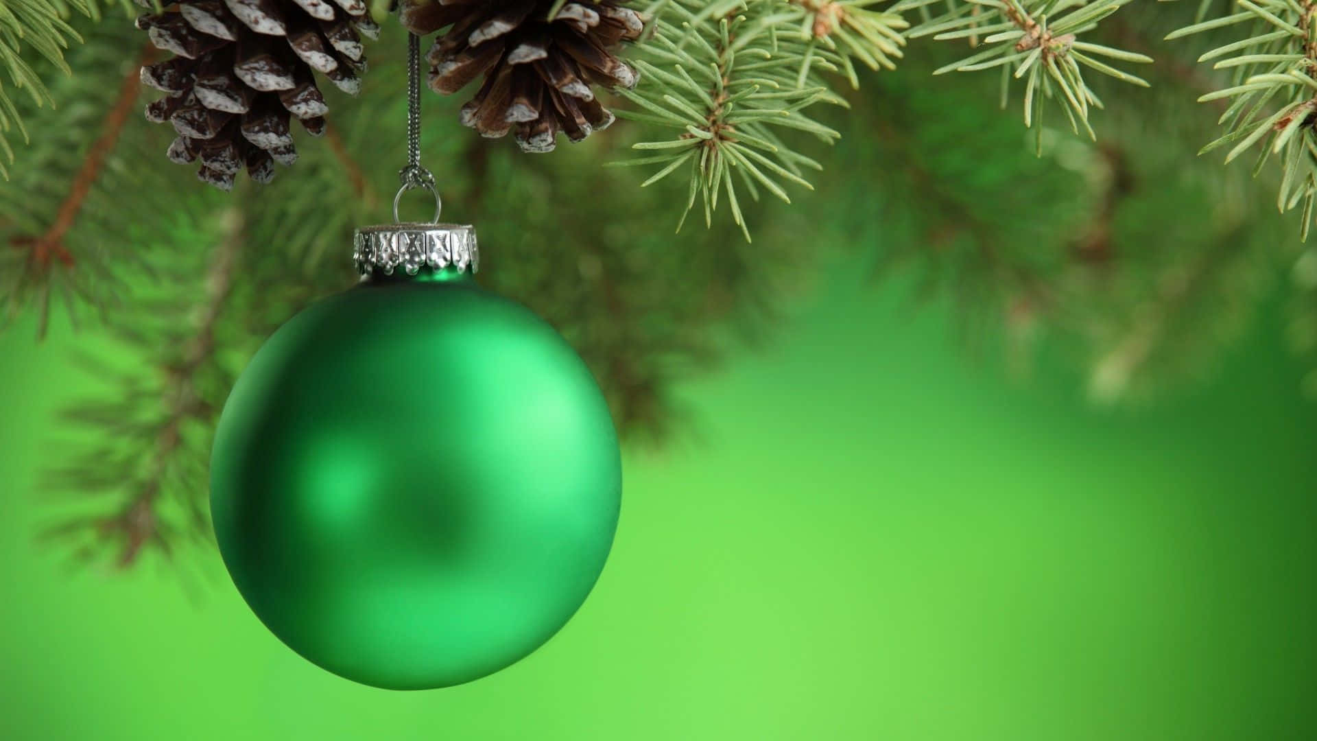 Bolade Navidad Verde Colgando De Una Rama De Pino Fondo de pantalla