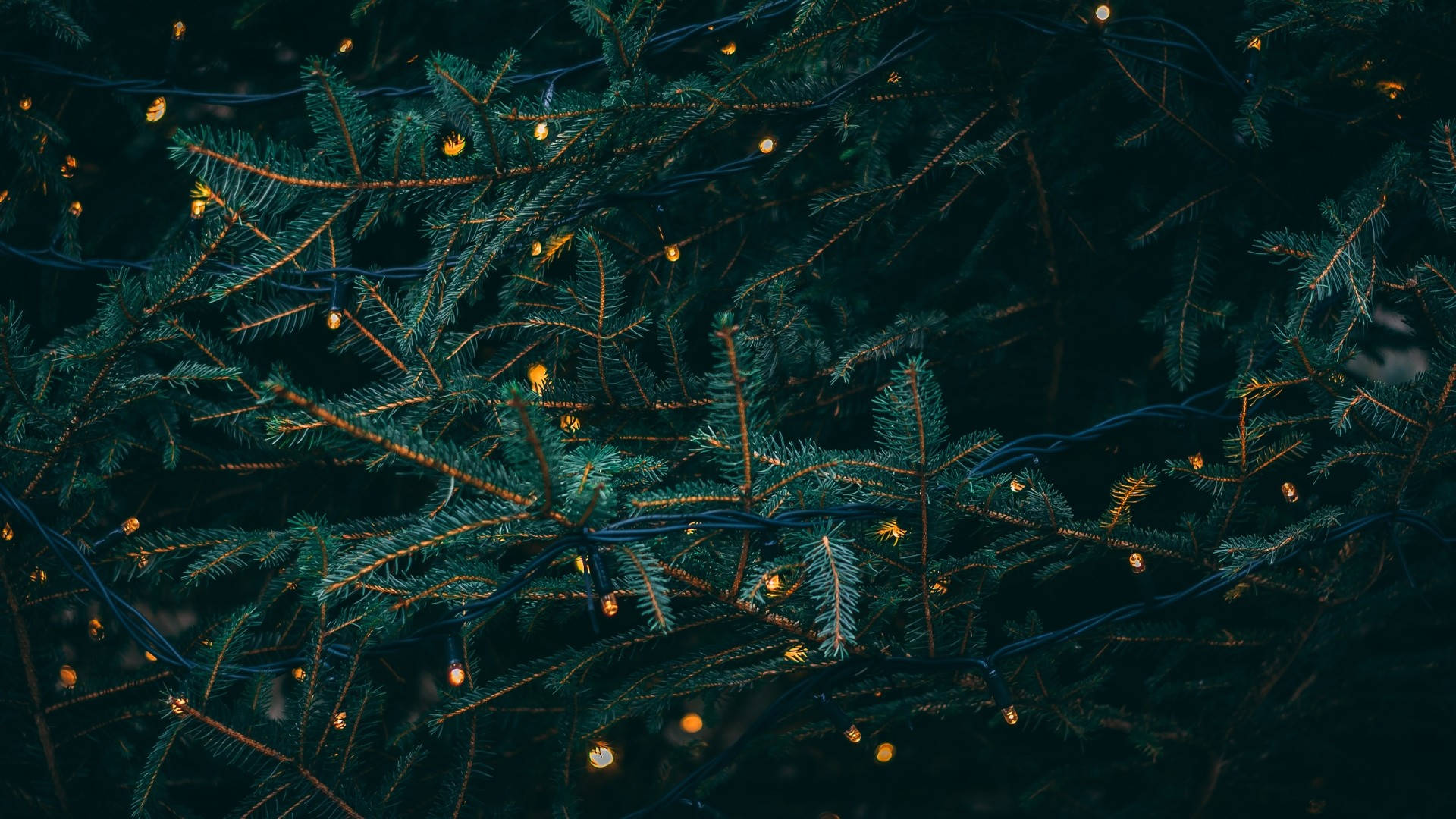 Dark Green Christmas Aesthetic Desktop Background