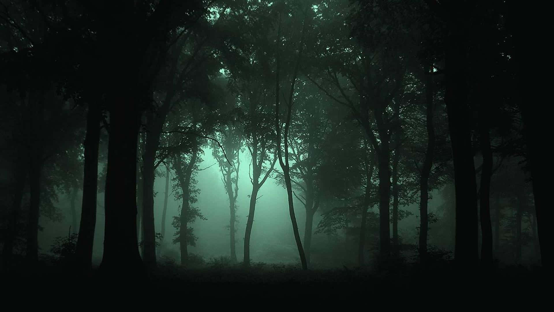 Unbosque Verde Exuberante Con Sombras Oscuras En Los Árboles. Fondo de pantalla