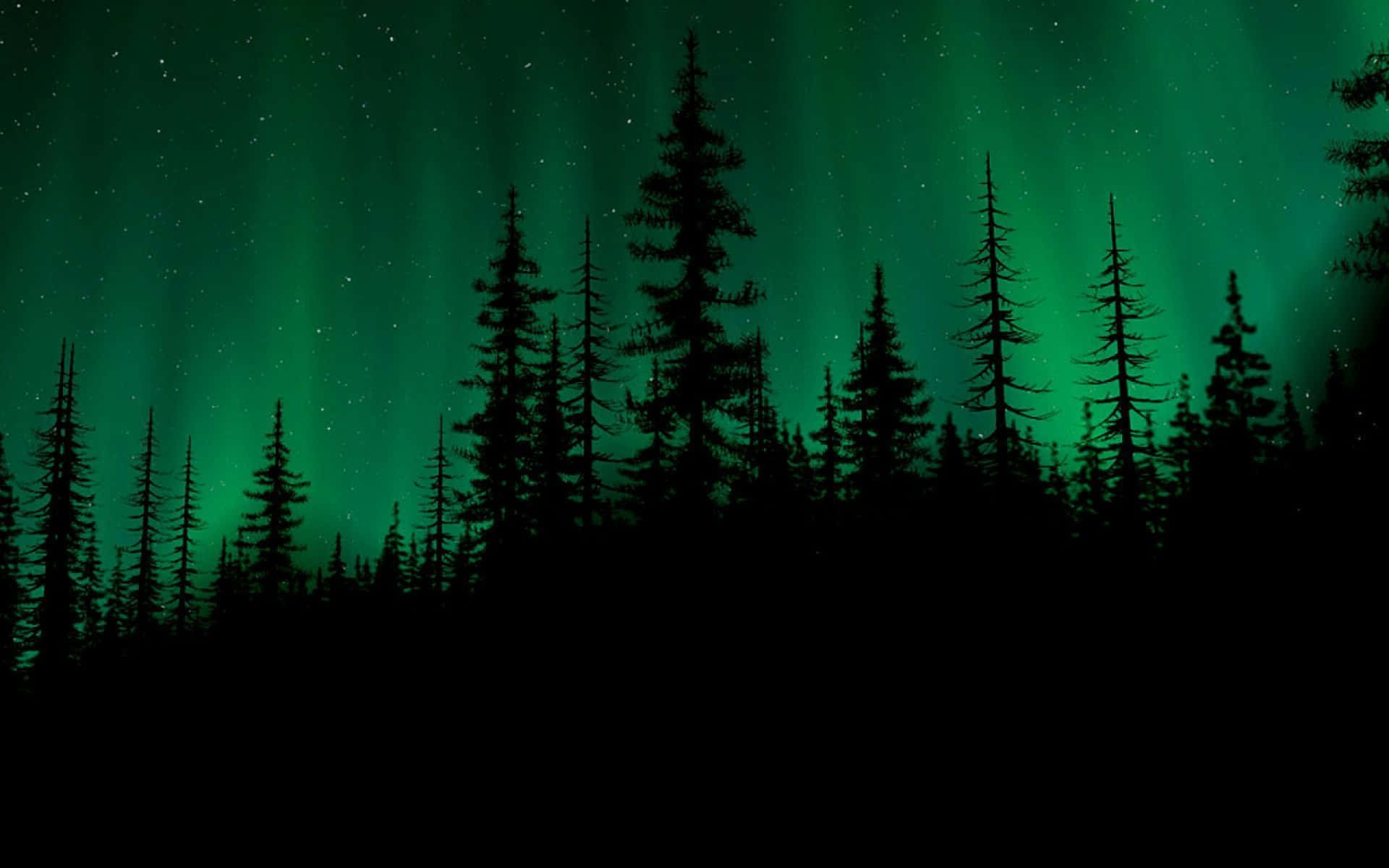 A Majestic Dark Green Forest Wallpaper