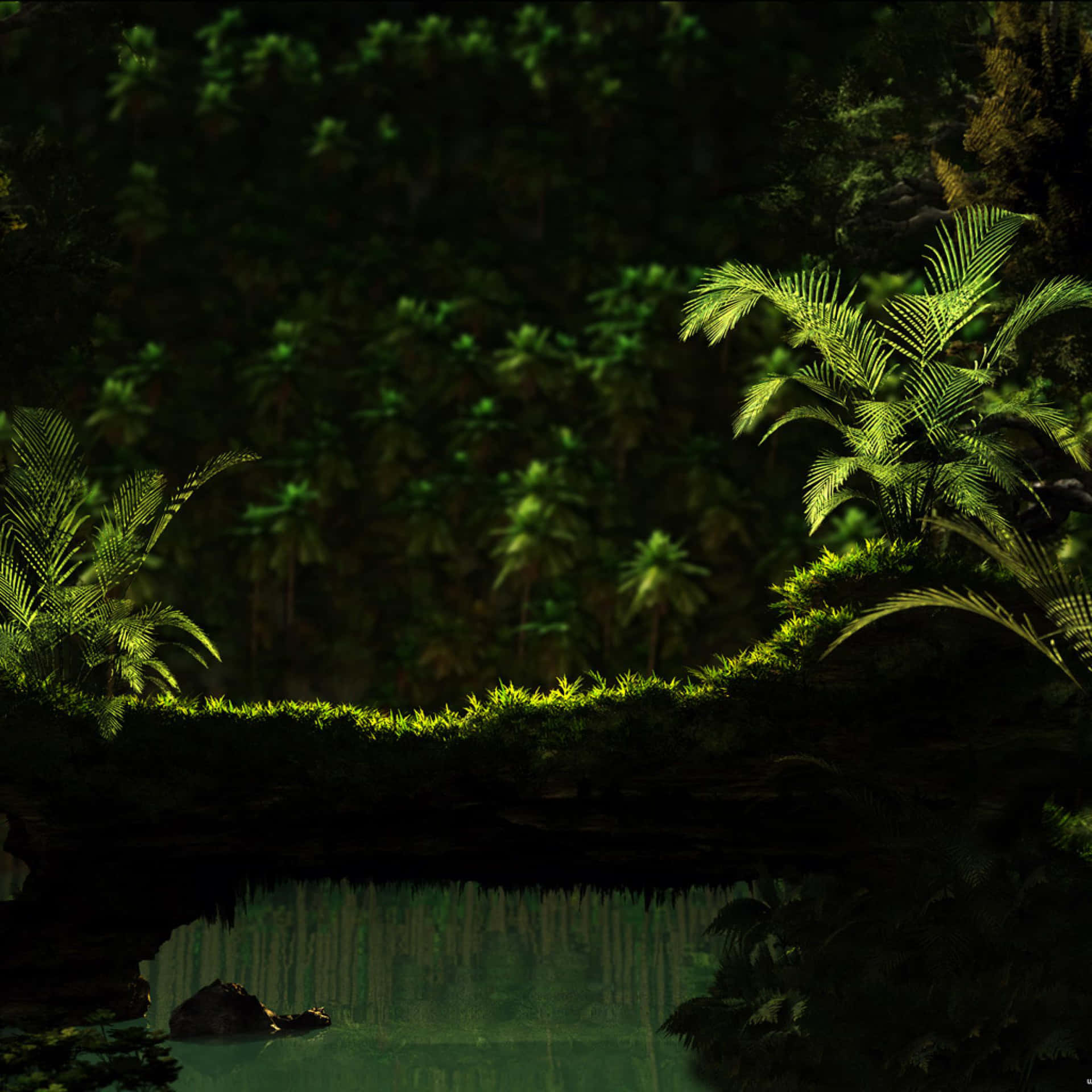 Unaescena Tranquila De Un Bosque Verde Oscuro Fondo de pantalla