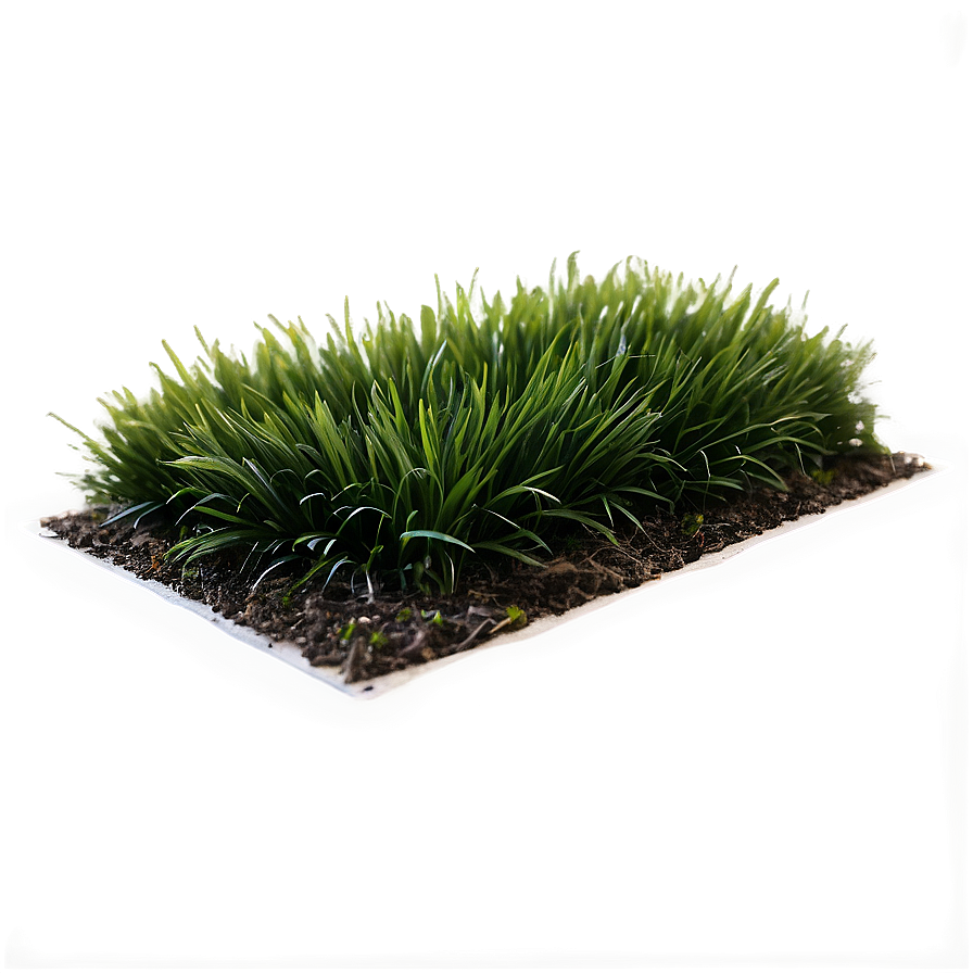 Dark Green Grass Png 04292024 PNG