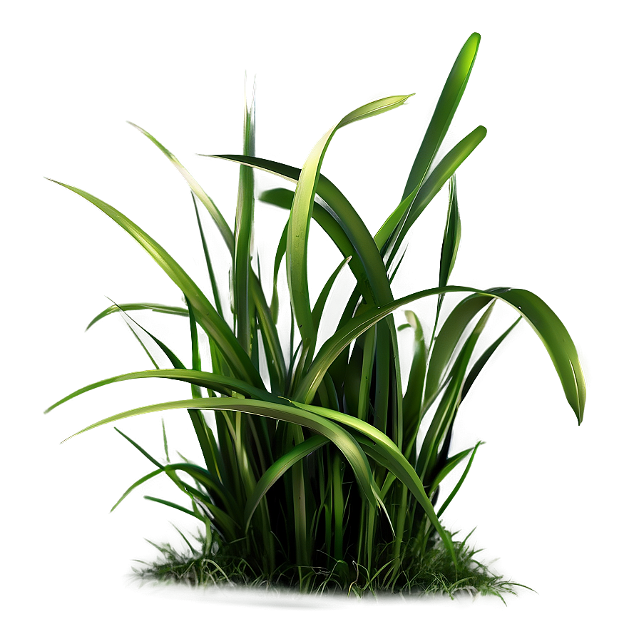 Dark Green Grass Png 04292024 PNG