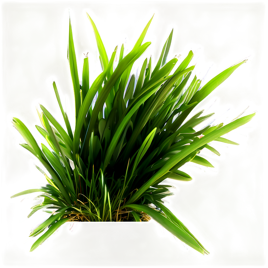 Dark Green Grass Png 72 PNG