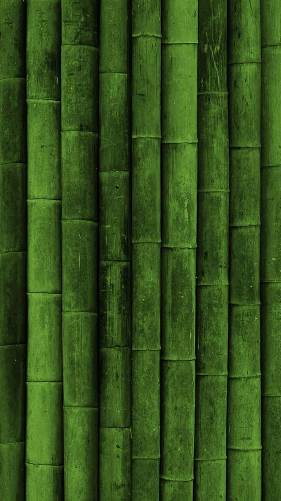 Iphoneoscuro Con Árboles De Bambú Verde. Fondo de pantalla