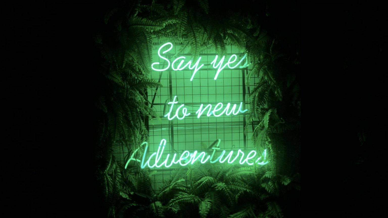 Dark Green Slogan Aesthetic Wallpaper