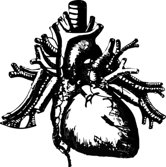 Dark Heart Shaped Tree Under Night Sky PNG