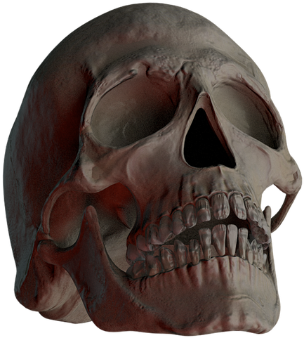 Dark Human Skull3 D Render PNG