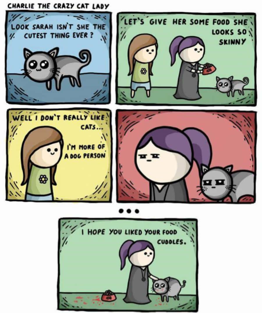 Unatira Cómica Sobre Un Gato Y Una Mujer