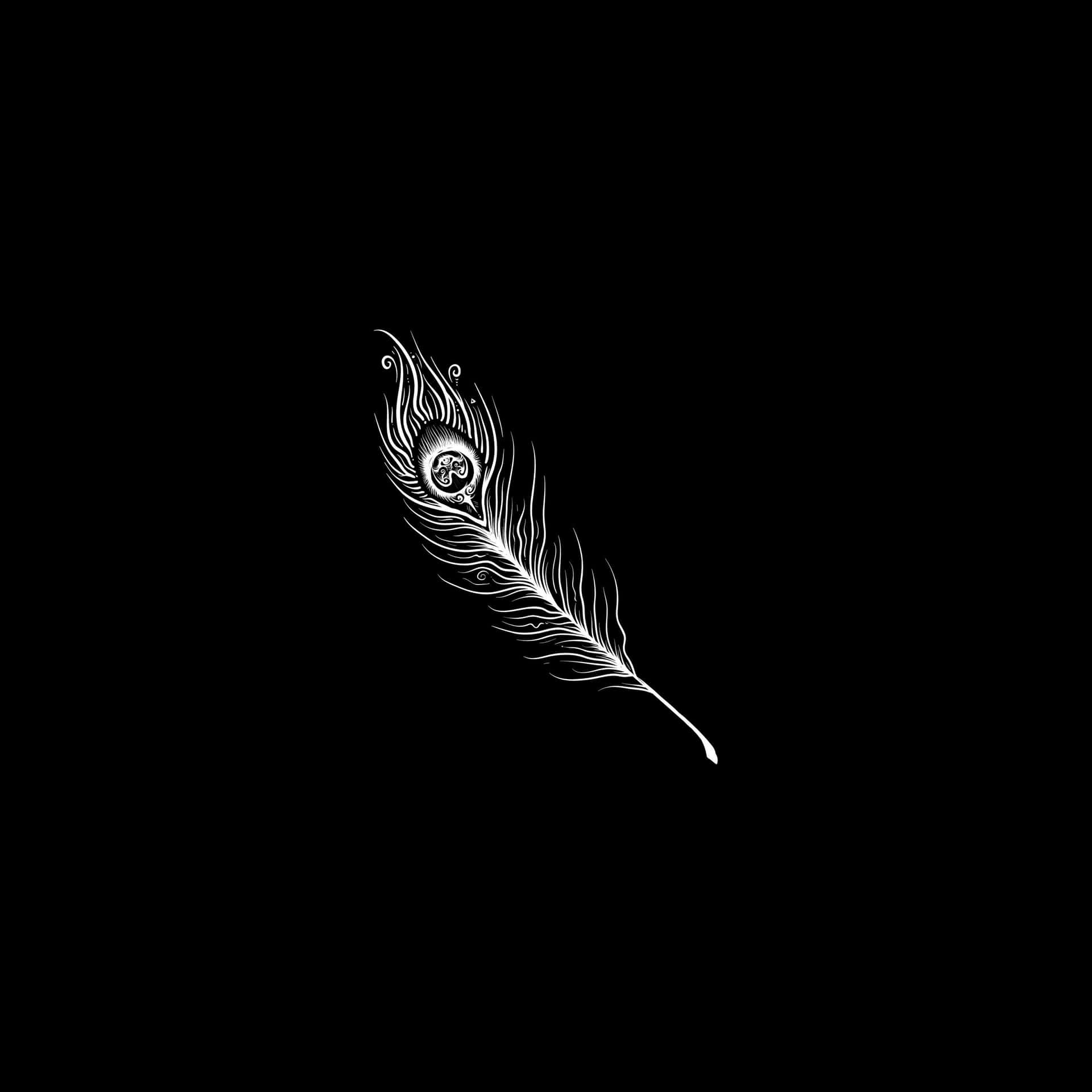 Vitpåfågelfjäder Mörk Ipad-skärm Bakgrundsbild. Wallpaper