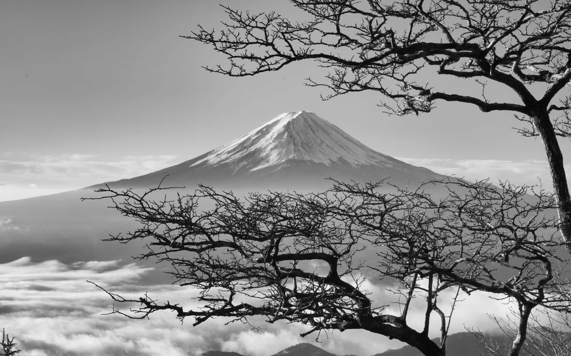 Dark Japanese Mount Fuji With Cherry Blossoms Wallpaper